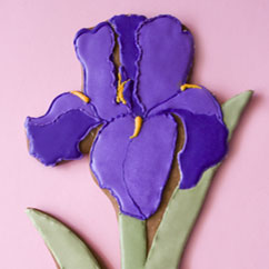 iris cookie