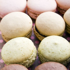 macaroons